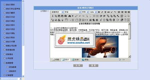 專業進出口服務公司整站解決方案 美工大氣后臺完整，精品源碼共享